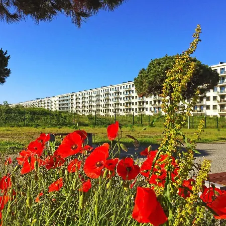 Prora - Wg 216 Mit Meerblick Und Ir-sauna *