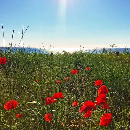 Prora - Wg 216 Mit Meerblick Und Ir-sauna Daire Binz